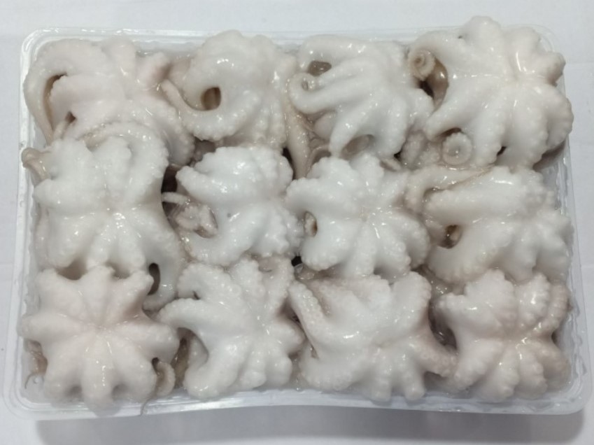 single-skin-baby-octopus-whole-cleaned